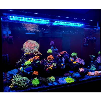 Lampa LED do akwarium morskiego Air PRO 900 Marine + kontroller